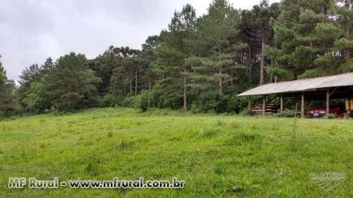 Fazenda Tanque Velho