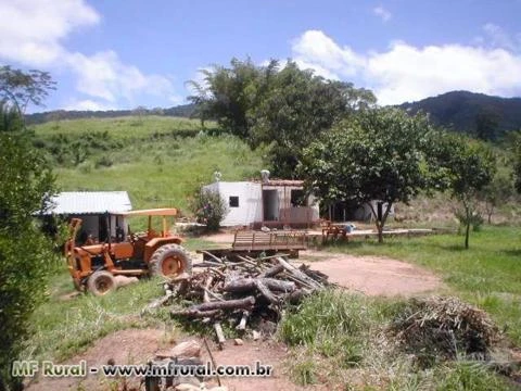Fazenda de 307 hectares em Belmiro Braga/MG