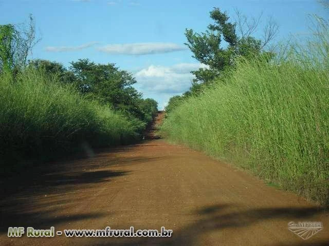 Fazenda em Conceição do Tocantins - TO com 434 hectares.