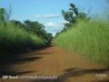 Fazenda em Conceição do Tocantins - TO com 434 hectares.