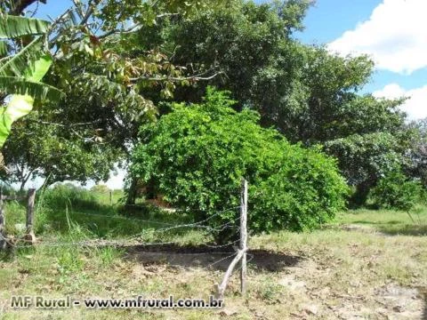 Fazenda em Conceição do Tocantins - TO com 434 hectares.