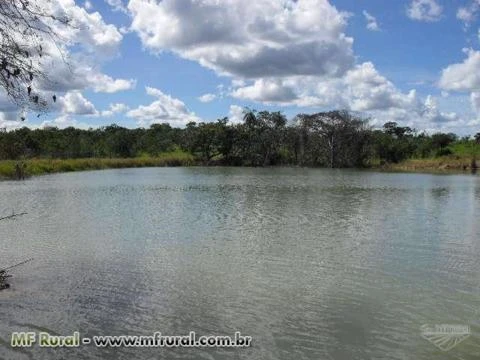 Fazenda em Conceição do Tocantins - TO com 434 hectares.