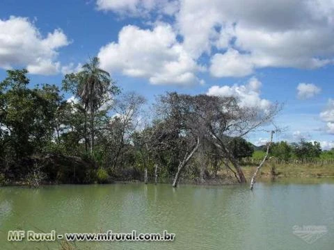 Fazenda em Conceição do Tocantins - TO com 434 hectares.