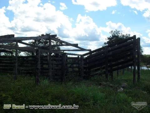 Fazenda em Conceição do Tocantins - TO com 434 hectares.