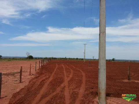 Fazenda Irrigada - Cana - Lavoura - Pecuária