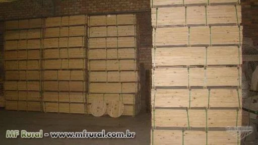 Exportação de Pallets e Madeira para Europa