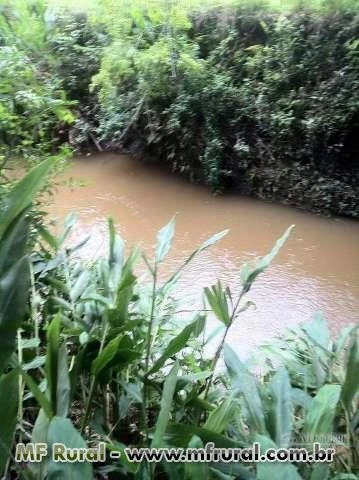 Vendo sitio no extremo sul de minas - Cambui