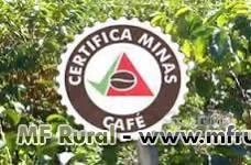 Fazenda de café Arábica em Bom Sucesso-MG