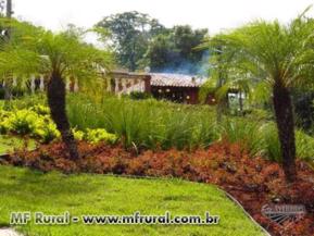 Fazenda de café Arábica em Bom Sucesso-MG