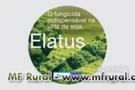 ELATUS (AZOXISTROBINA) + (BENZOVINDIFLUPIR)