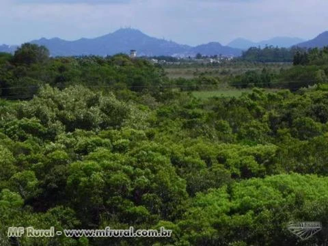 Fazenda de Ouro Azul