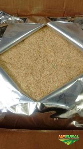 Alho Granulado Imagem Alho Granulado