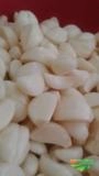 Alho descascado direto do produtor Imagem Alho descascado direto do produtor