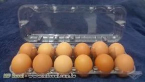 Embalagem plástica para 12 ovos de galinha
