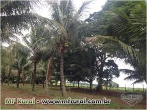 FAZENDA REGIÃO DE BAURU CINEMATOGRÁFICA