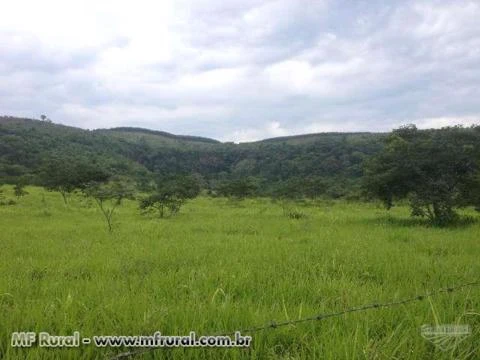 Fazenda Mata do Salobro