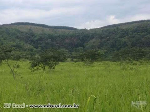 Fazenda Mata do Salobro