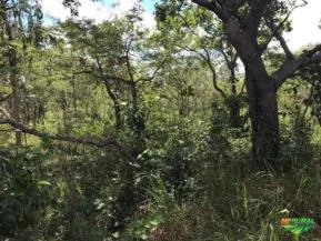 Fazenda para agricultura