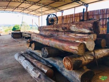 Madeira de Eucalipto serrado Imagem Madeira de Eucalipto serrado