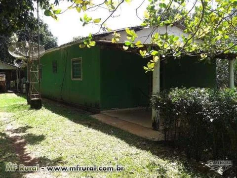 VENDO SÍTIO 37 HECTARES COM 4 AVIÁRIOS