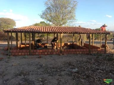 Galpão Para Aves