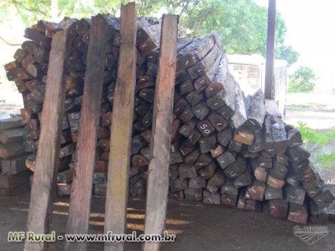 ECO DORMENTES Imagem ECO DORMENTES