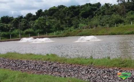 Imagem Aerador Piscicultura Imagem Aerador Piscicultura