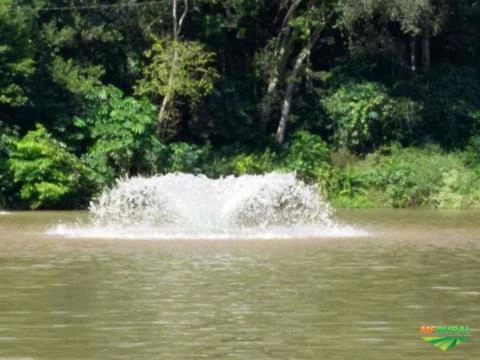 Imagem Aerador Piscicultura Imagem Aerador Piscicultura