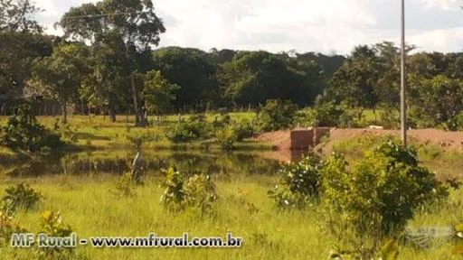 Vendo Fazenda de 16,5 Porteira fechada em Aliança do Tocantins
