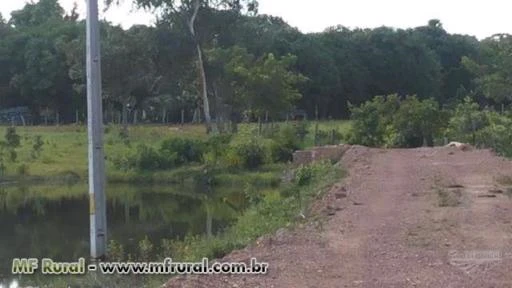 Vendo Fazenda de 16,5 alqueires Porteira Fechada em Aliança do Tocantins