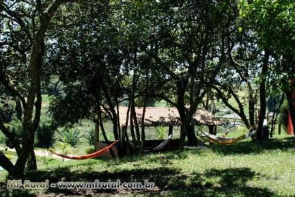 Haras com mansão e estrutura hípica e pousada