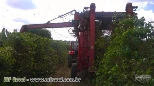 SERVIÇO COLHEITADEIRA