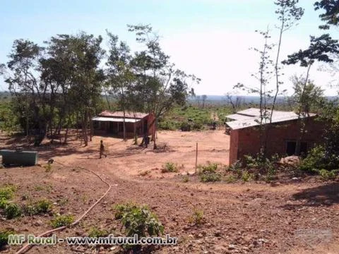 Fazenda no Sul Do Piauí - Excelente para plantio