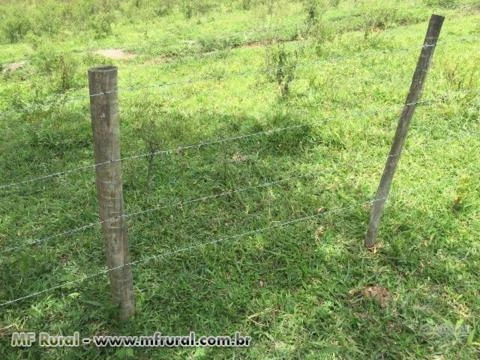 Vendo fazenda 200ha