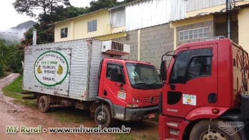 Polpa de banana, banana descascada congelada e banana passas