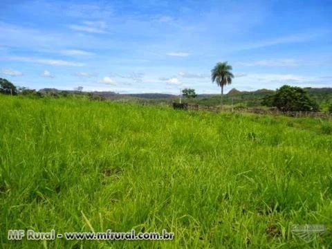 fazenda troca por fazenda no mato grosso do sul, região de 3 lagoas