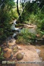 Fazenda em Ribeirão Branco