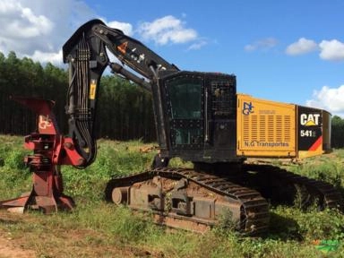 COLHEITA FLORESTAL Imagem COLHEITA FLORESTAL