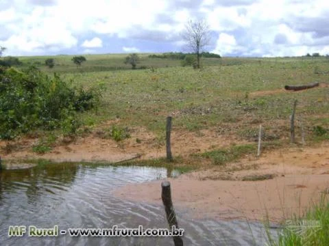 FAZENDA -ALTO  GARÇAS/MT