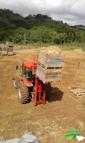 Empilhadeira Hidráulica para Trator Agrícola Imagem Empilhadeira Hidráulica para Trator Agrícola