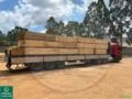 Serraria de Pinus e Eucalipto para Construção civil, Embalagens e Indústria. Imagem Serraria de Pinus e Eucalipto para Construção civil, Embalagens e Indústria.