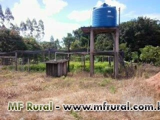 Vendo Fazenda em Rondônia