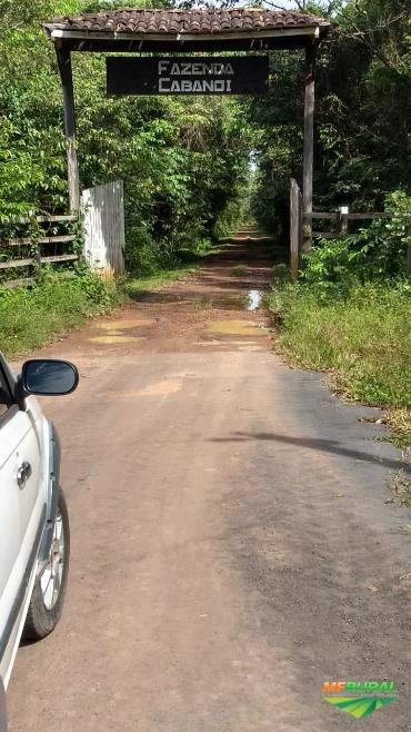 VENDO FAZENDA COM 2MIL HECTARES EM BARCARENA - PARÁ