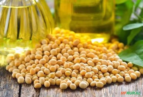 Óleo de Soja Refinado Imagem Óleo de Soja Refinado