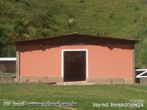 ARRENDAMENTO DE BAIAS HARAS RENASCENÇA - MIGUEL PEREIRA / RJ