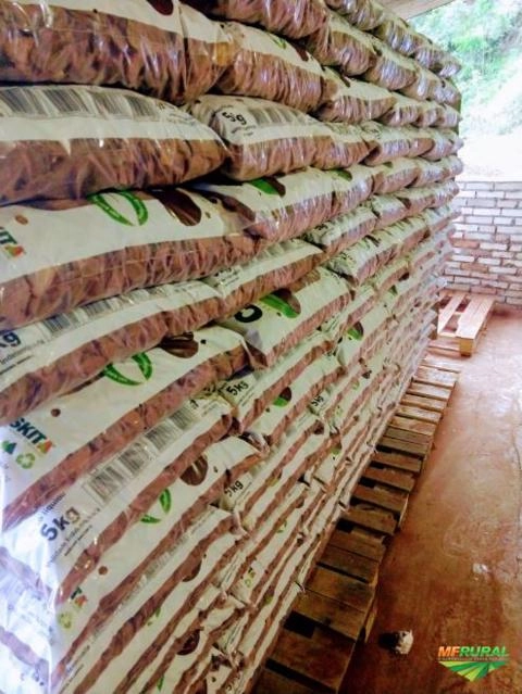 CASCA DE PINUS Imagem CASCA DE PINUS