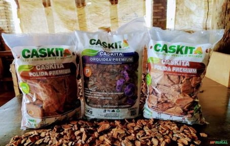 Imagem CASCA DE PINUS Imagem CASCA DE PINUS