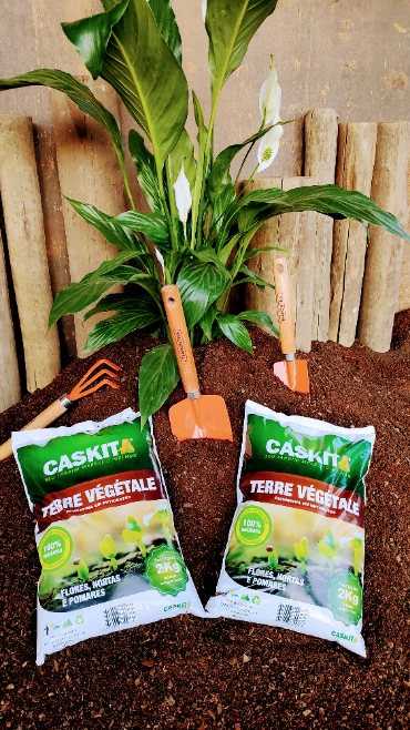 Imagem CASCA DE PINUS Imagem CASCA DE PINUS