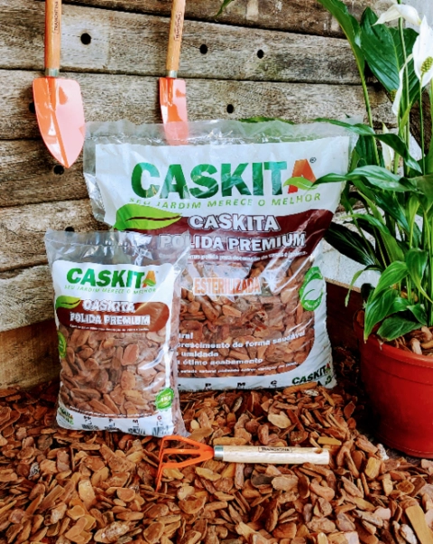 Imagem CASCA DE PINUS Imagem CASCA DE PINUS