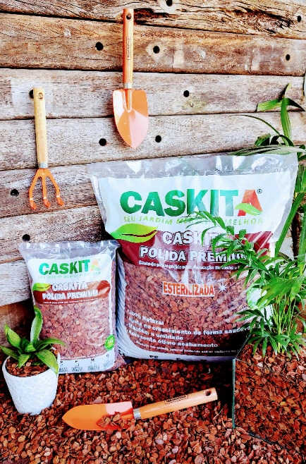 Imagem CASCA DE PINUS Imagem CASCA DE PINUS